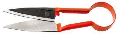 Box tree shears trend line