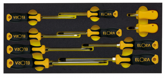 Module-QUATROLIT®-2C-Screwdrivers 