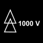 symbol:1000v
